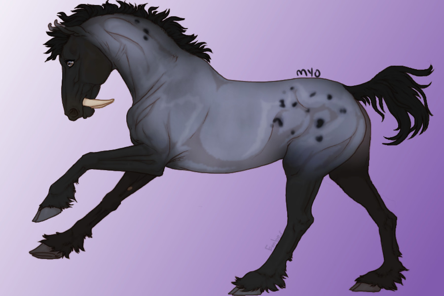Blue Roan Stallion