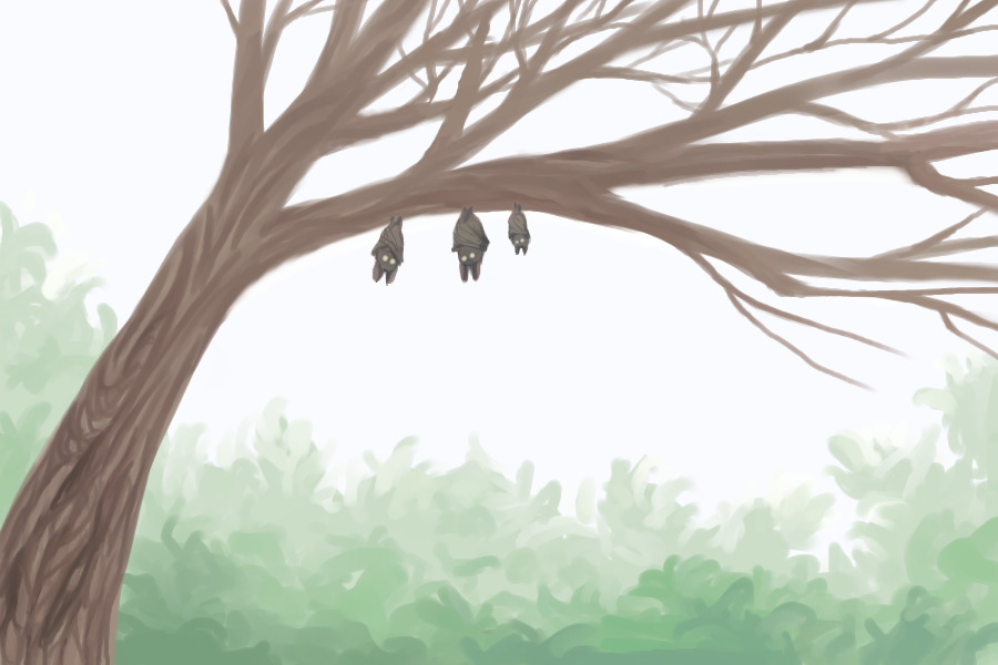 Frens in a tree