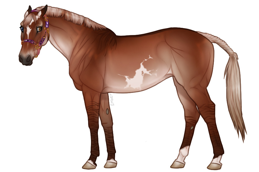 Euphorian Thoroughbred #634