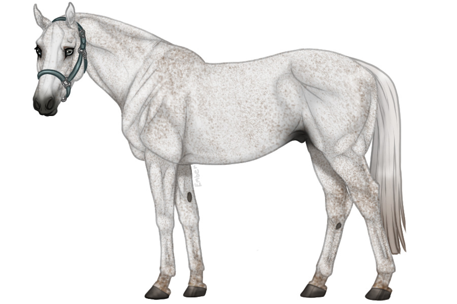 Euphorian Thoroughbred #632
