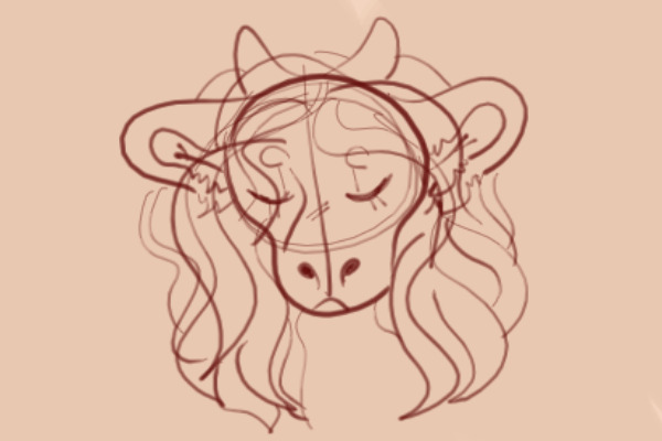 Cow Sketch