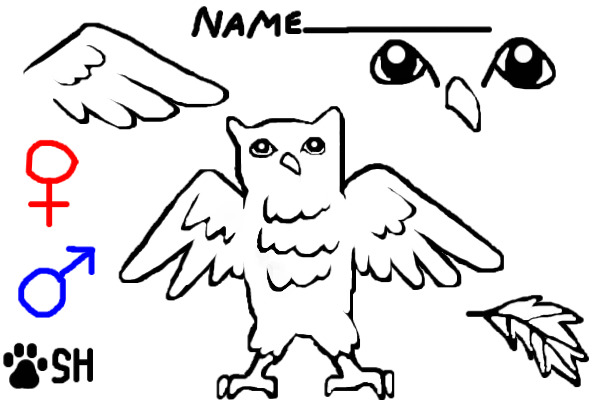 Owl Character Ref. Sheet