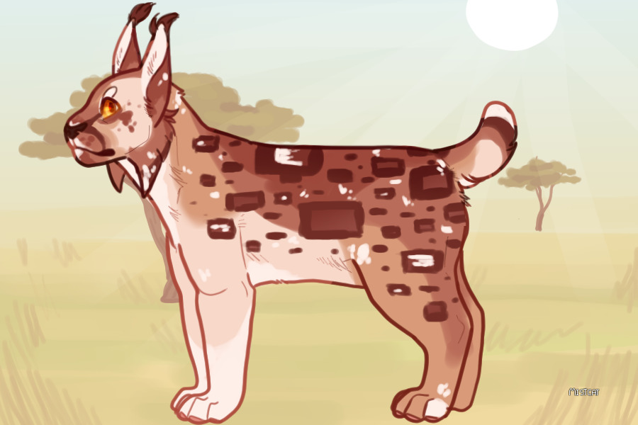 Lynx sneezes - auction