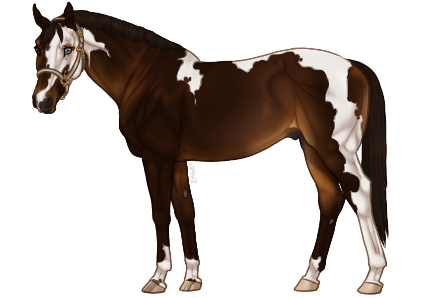 Euphorian Thoroughbred #636