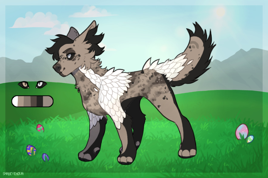 No Items Ref // Rocky