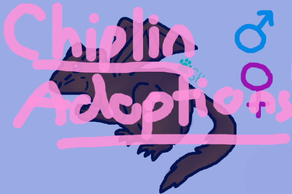 Chilpin Adoptions!