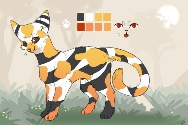 Banded babe - For sale