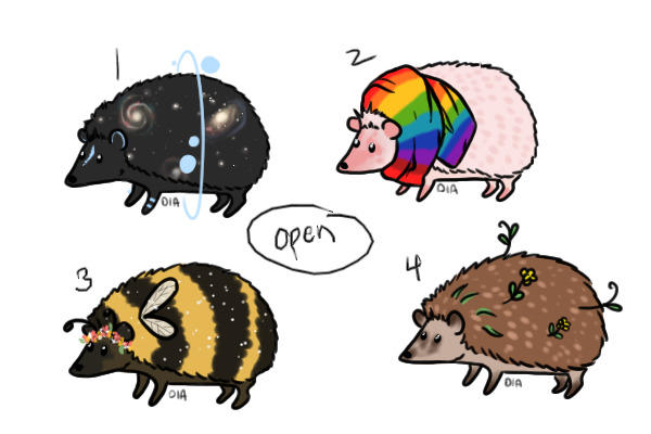 Hedgie Adopts