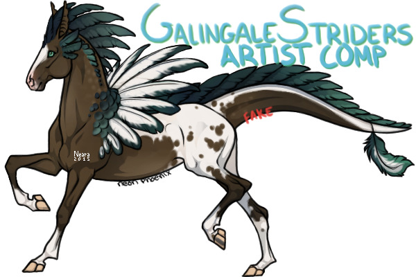 Galingale Striders Artist Search