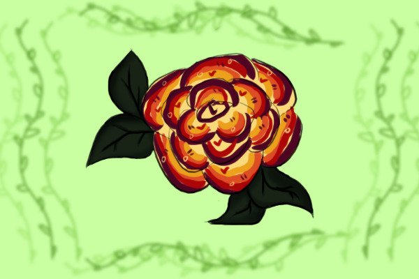 hybrid rose -- mutation