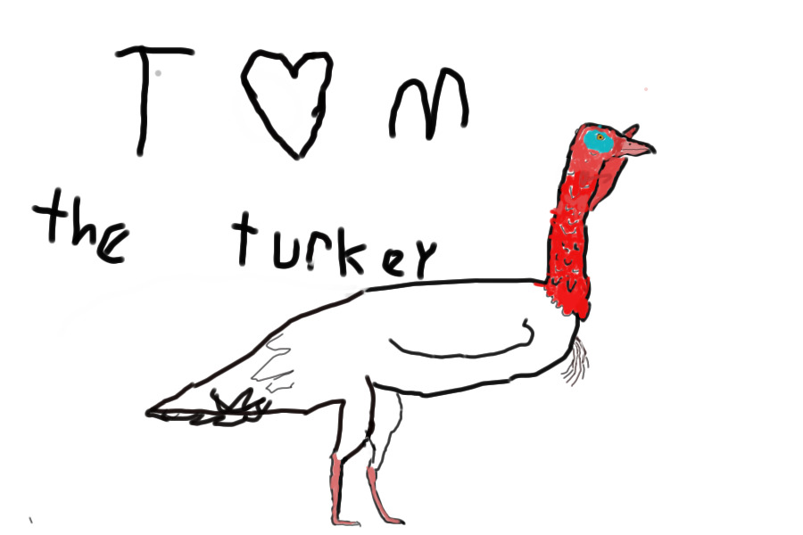 tom the turkey
