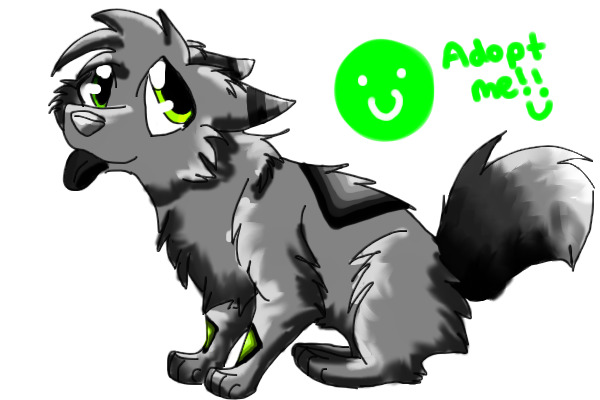 Pretty Adoptable :3