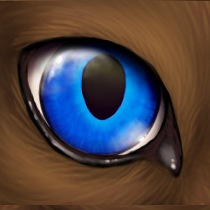 Flickerflame's eye (right)