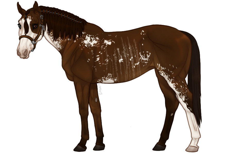 Euphorian Thoroughbred #683