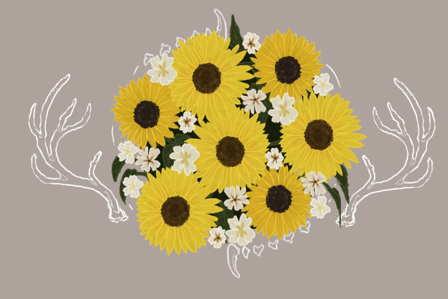 Primrose & Sunflowers