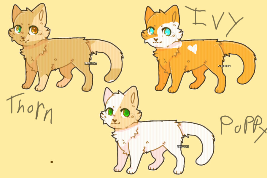 Thornpaw, Poppy, IvyWing