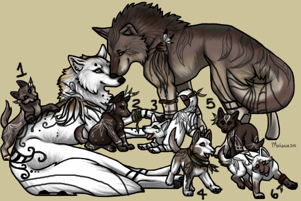 Indian Wolf Family