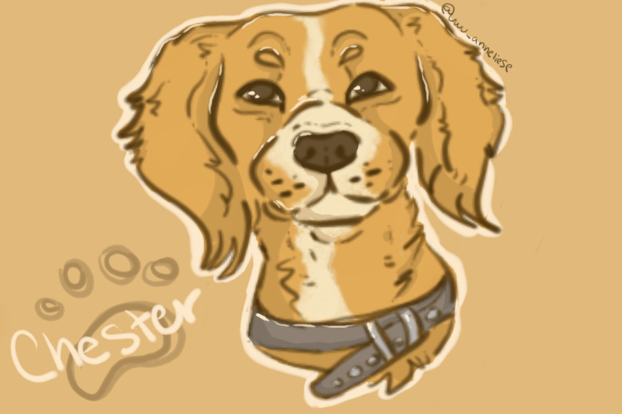 Finished Commission!