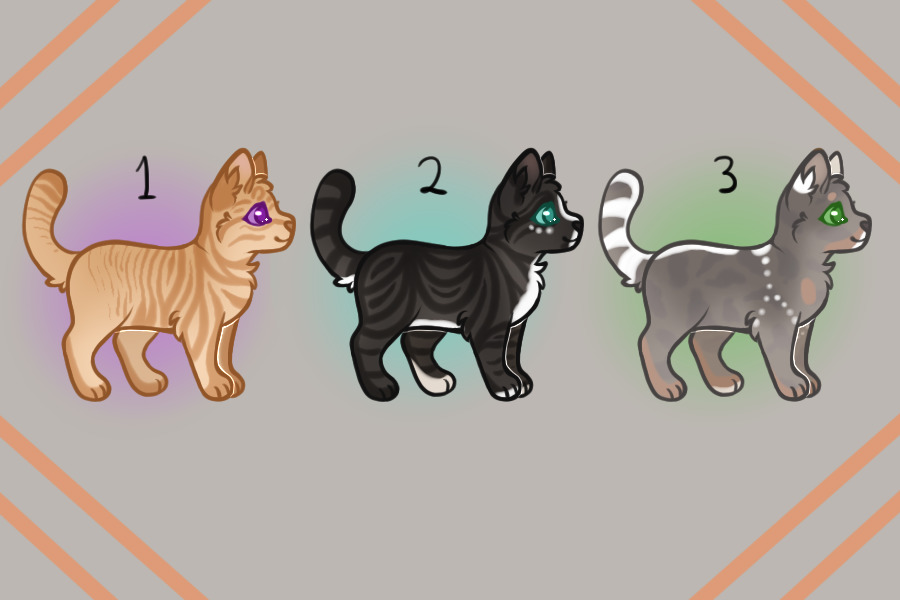 A few cats for adopt.