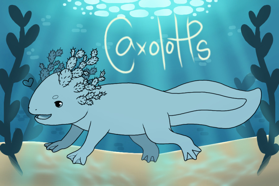 Caxolotls