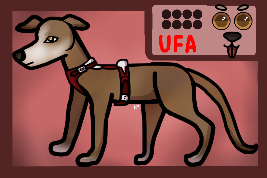 Greyhound Lines Ufa