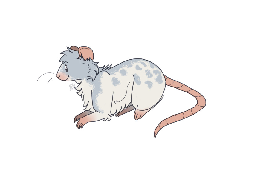Rat Colony's Renna Rat