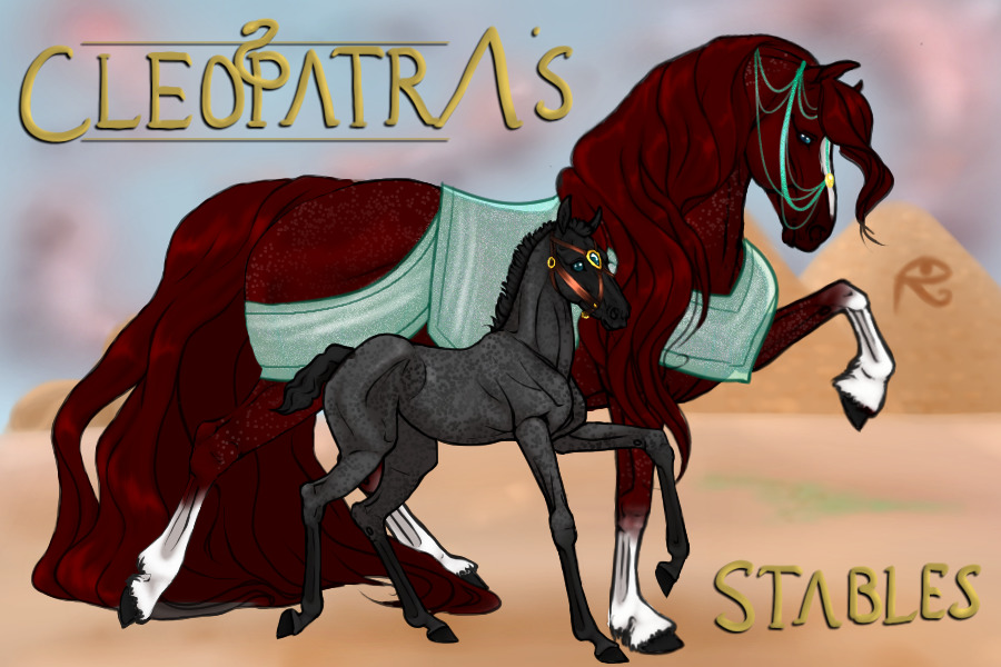 This is for acronymm