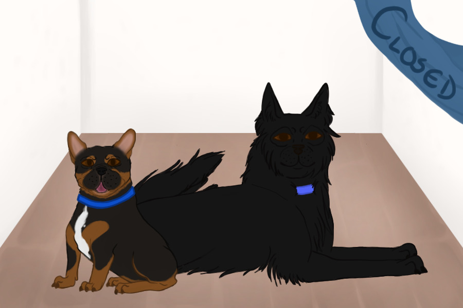 SFA - #0063 and #0064 - French Bulldog and Belgian Shepherd