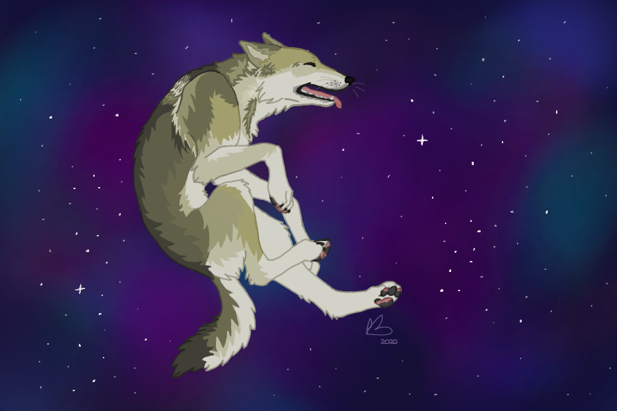 Moon dog