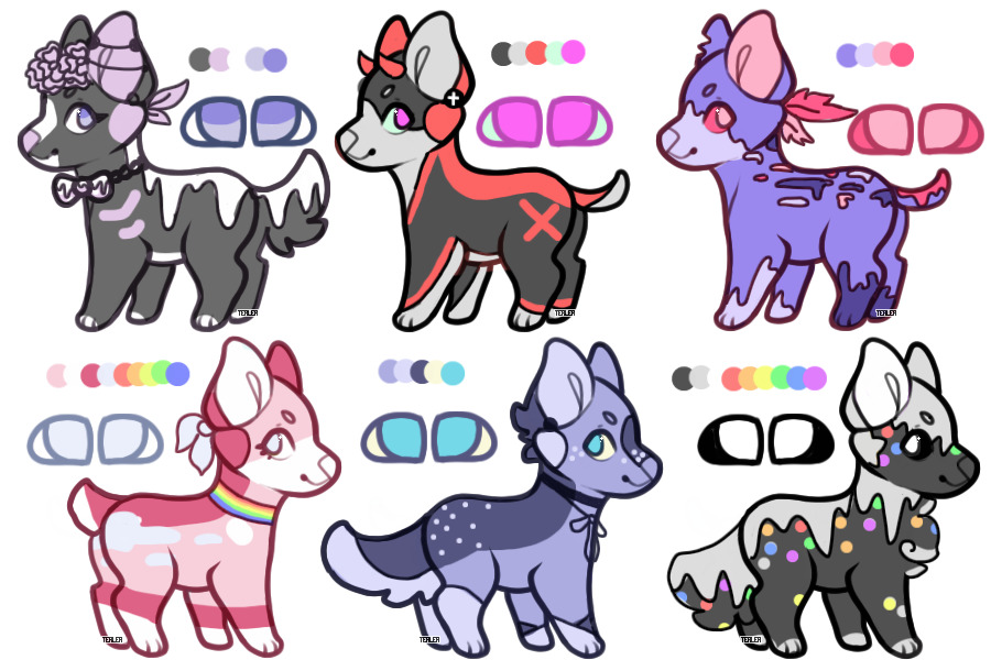 pup adoptables (6/6)