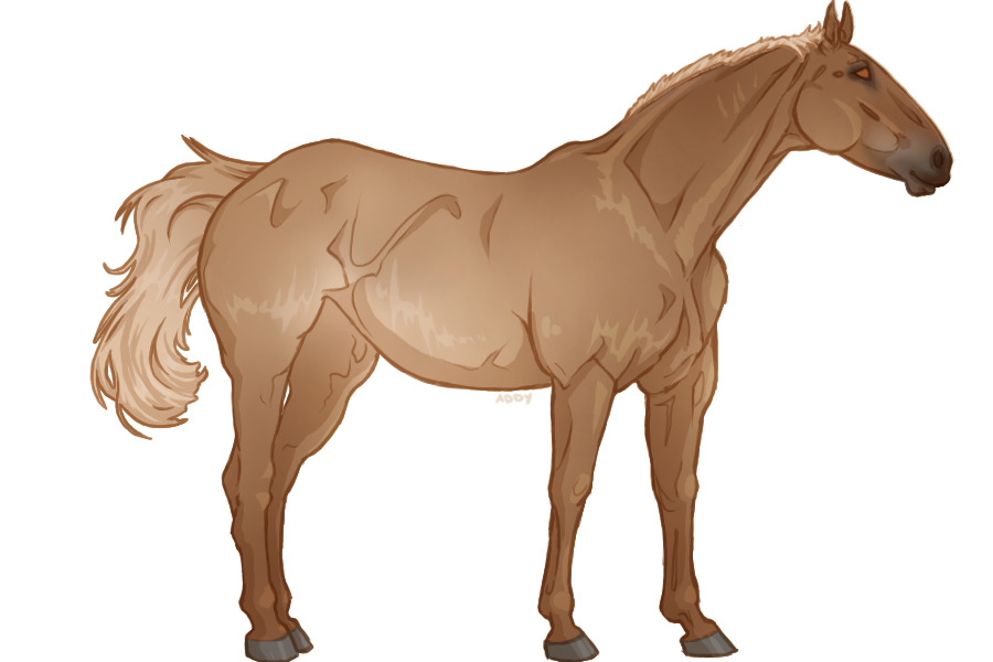 Editable Horse