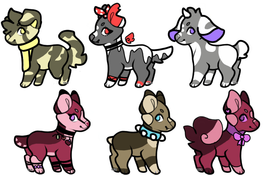 pup adoptables (4/6)