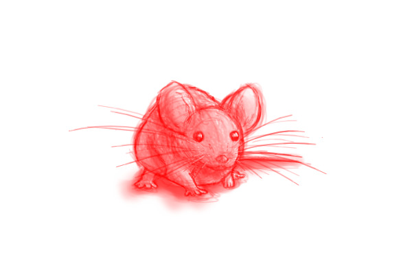 Rodent sketch #2