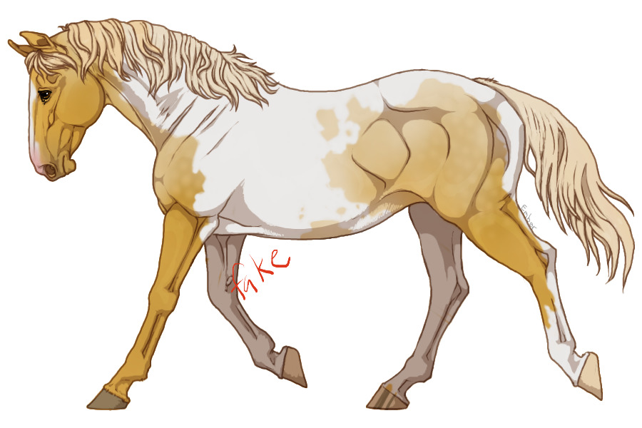 1) Palomino Roan Tobiano