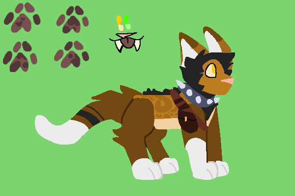 new design i guess