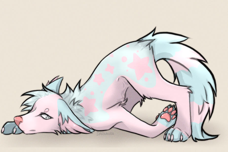Danny the Pastel Flop Canine