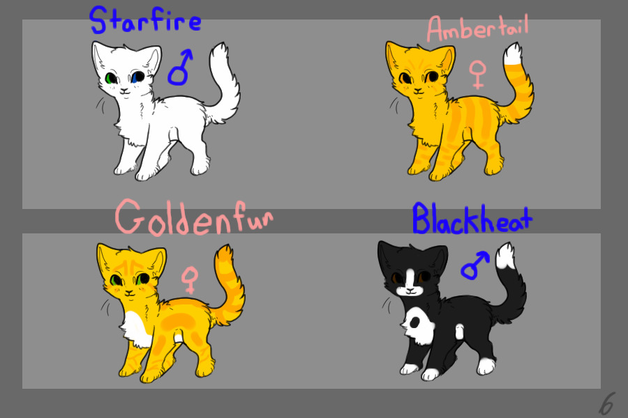 CLOSED Free Warrior Cats Up For Adoption