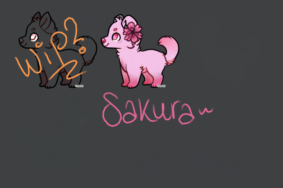 Sakura Adopt + Custom
