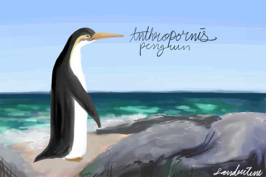 Anthropornis Penguin