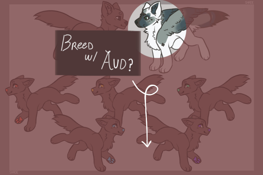 breed with aud?