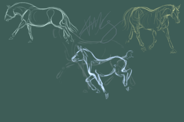 Quarter horse sketch study/dump