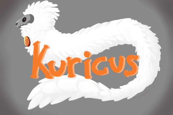 Kuricus | Open