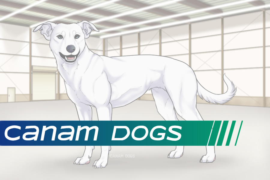 Canam Dogs