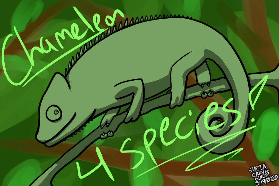 Chameleon Editable
