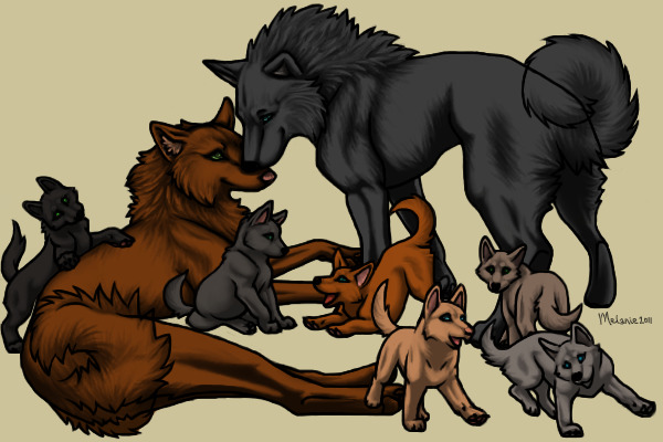 wolf family colouring
