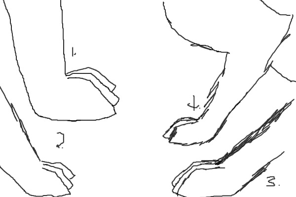 paw practice