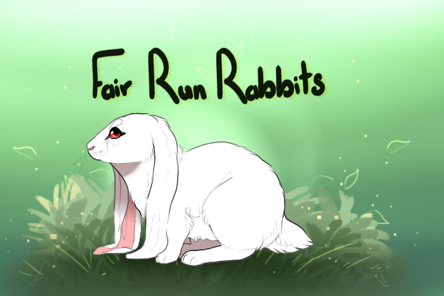 Fair Run Rabbits V3 - Hiatus