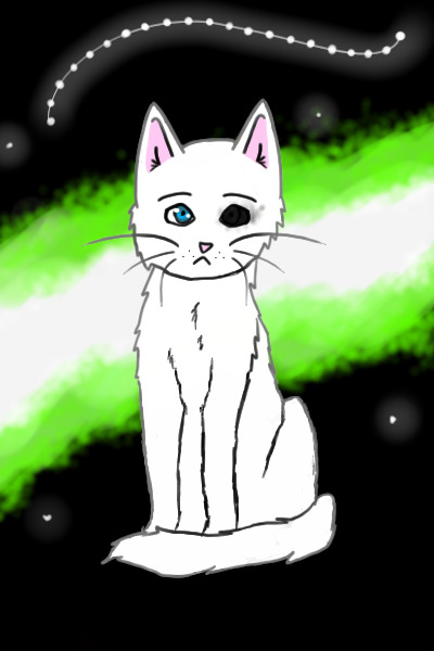 Ginko the Mushishi cat