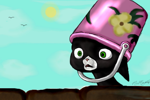 Bolt kitty C: