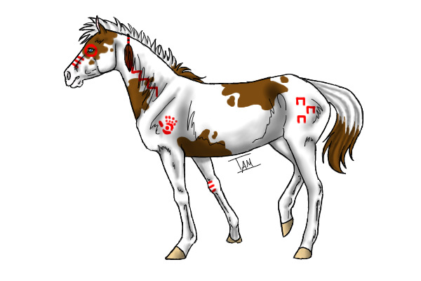 War Pony